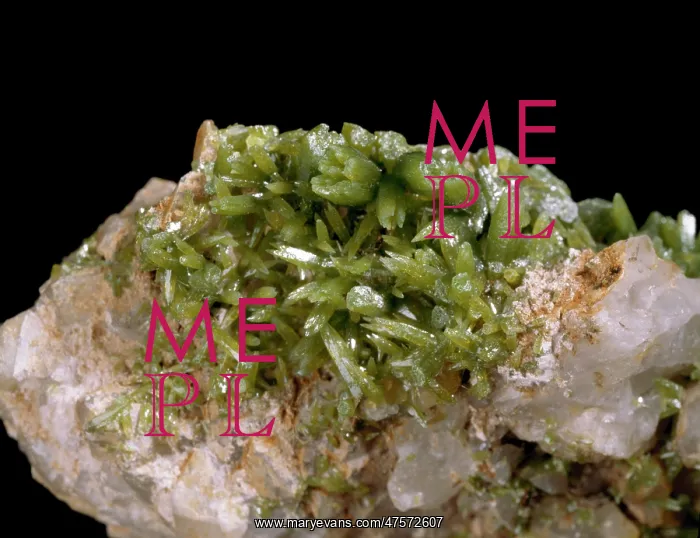: Pyromorphite : Pyromorphite
