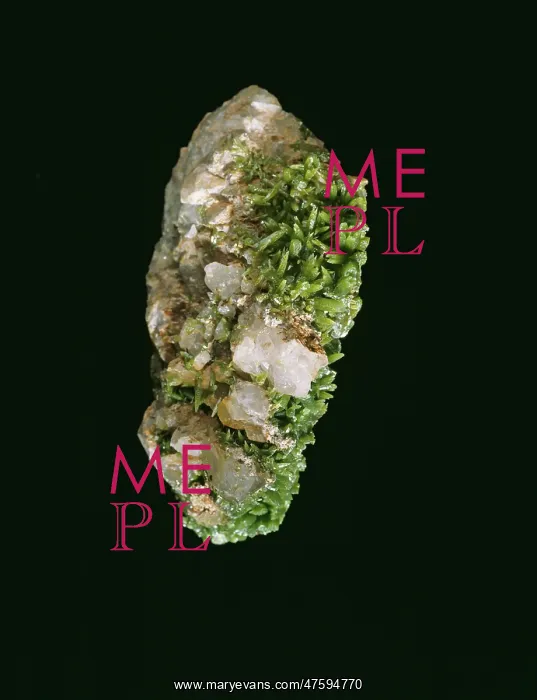: Pyromorphite : Pyromorphite
