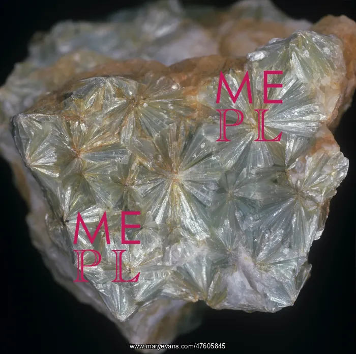 : Pyrophyllite : Pyrophyllite
