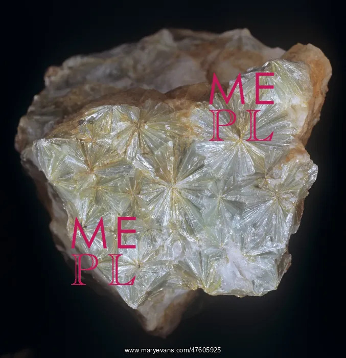 : Pyrophyllite : Pyrophyllite
