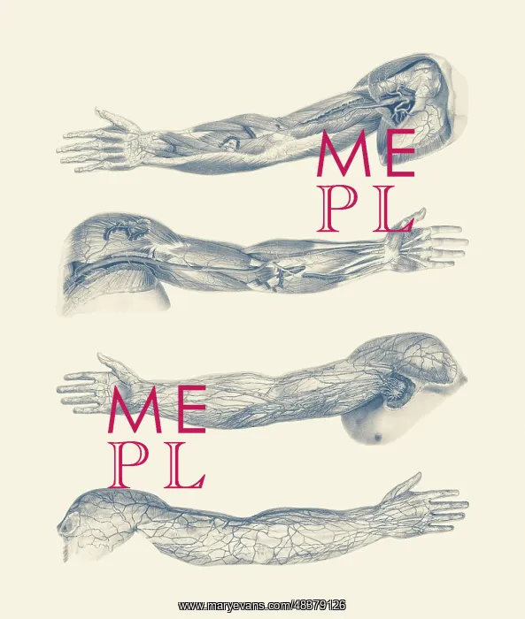 : A quad-view diagram of the human arm and hand : A quad-view diagram of the human arm and hand