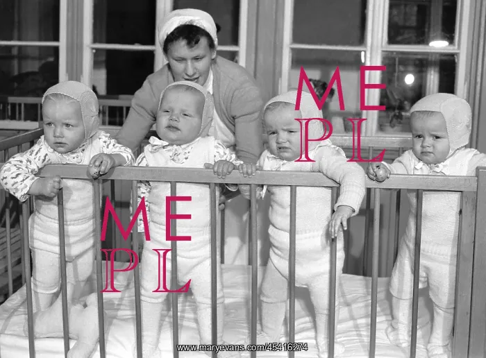 : Quadruplets : Quadruplets
