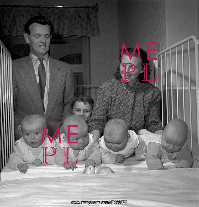 : Quadruplets - babies - proud parents : Quadruplets - babies - proud parents