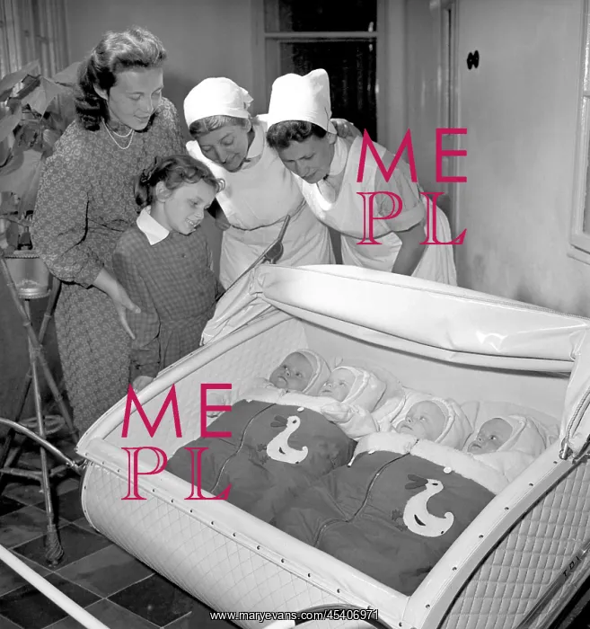: Quadruplets - newborn - babies : Quadruplets - newborn - babies