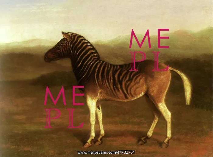  : Quagga