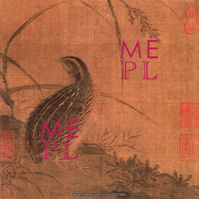 : Quail on Slope