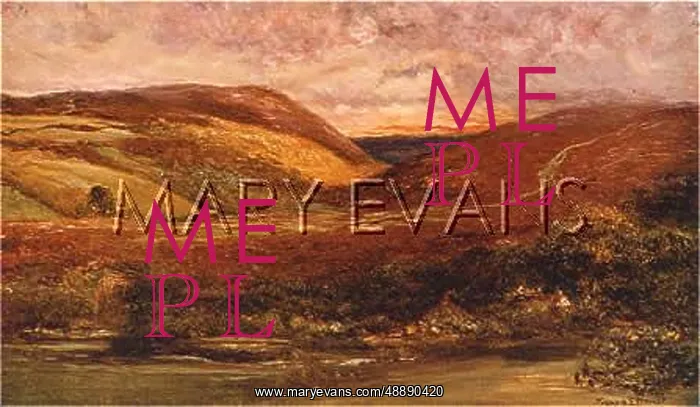  : QUANTOCK HILLS / 1907