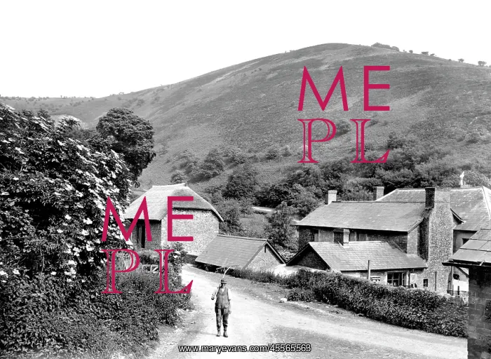 : Quantock, Triscombe, Wills Neck 1929