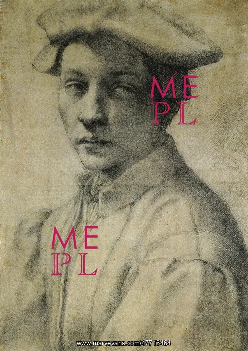 : Quaratesi Portrait, by Michelangelo : Quaratesi Portrait, by Michelangelo