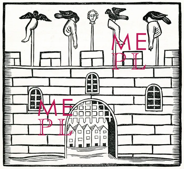 : AFTER A QUARTERING : AFTER A QUARTERING