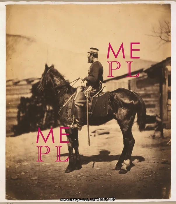 : Quartermaster Hill, 4th Light Dragoons, the horse taken imme : Quartermaster Hill, 4th Light Dragoons, the horse taken imme