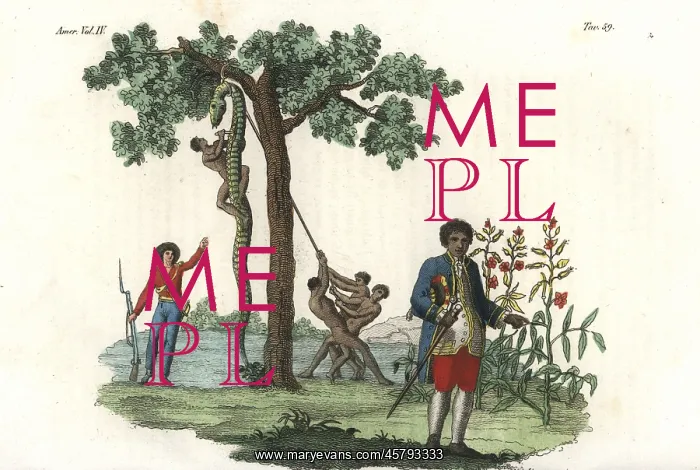 : Quassi, the Surinam slave who discovered quassia : Quassi, the Surinam slave who discovered quassia