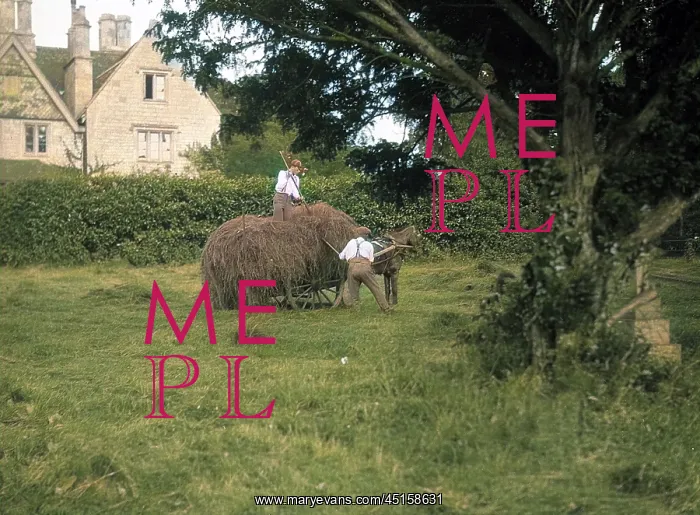 : QUEDGELEY HAYMAKING : QUEDGELEY HAYMAKING