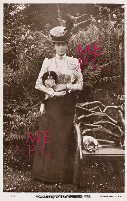 : Queen Alexandra with dogs : Queen Alexandra with dogs
