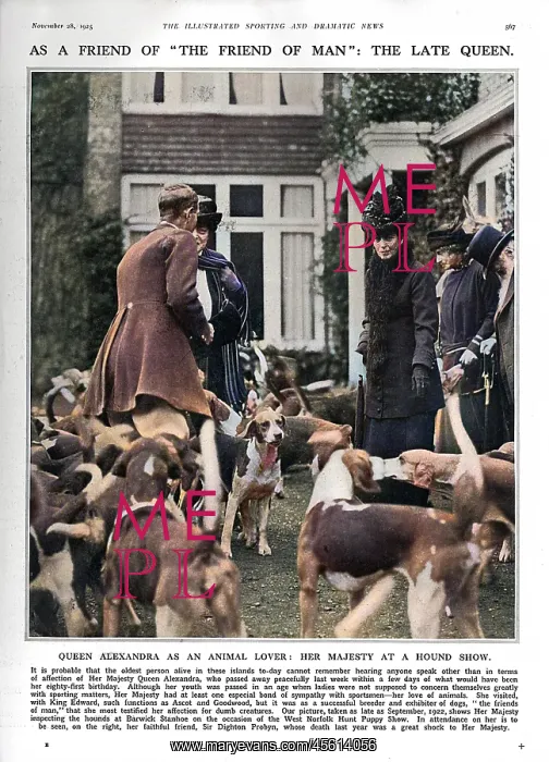 : Queen Alexandra inspecting hounds at a show : Queen Alexandra inspecting hounds at a show
