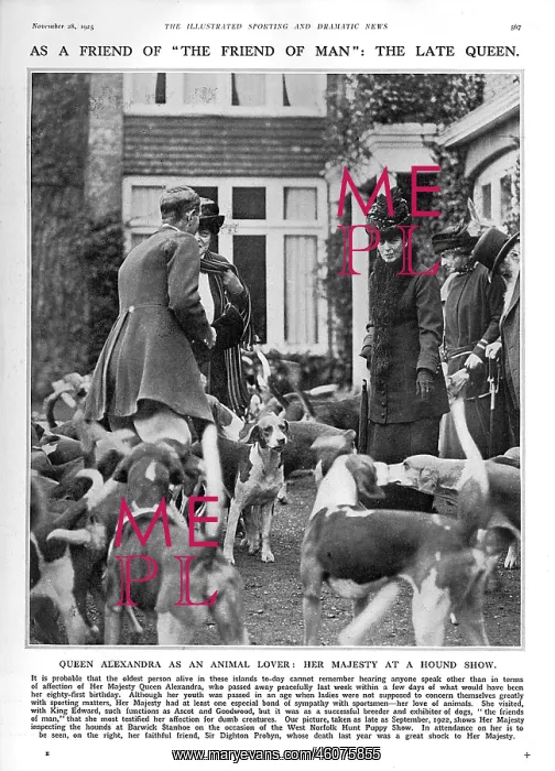 : Queen Alexandra inspecting hounds at a show : Queen Alexandra inspecting hounds at a show