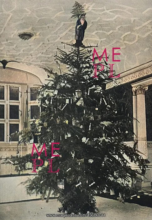 : Queen Alexandra's Christmas tree at Sandringham : Queen Alexandra's Christmas tree at Sandringham
