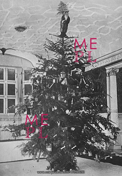 : Queen Alexandra's Christmas tree at Sandringham : Queen Alexandra's Christmas tree at Sandringham