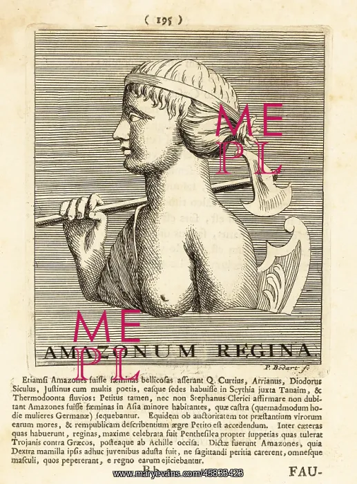 : Queen of the Amazons with axe and shield : Queen of the Amazons with axe and shield