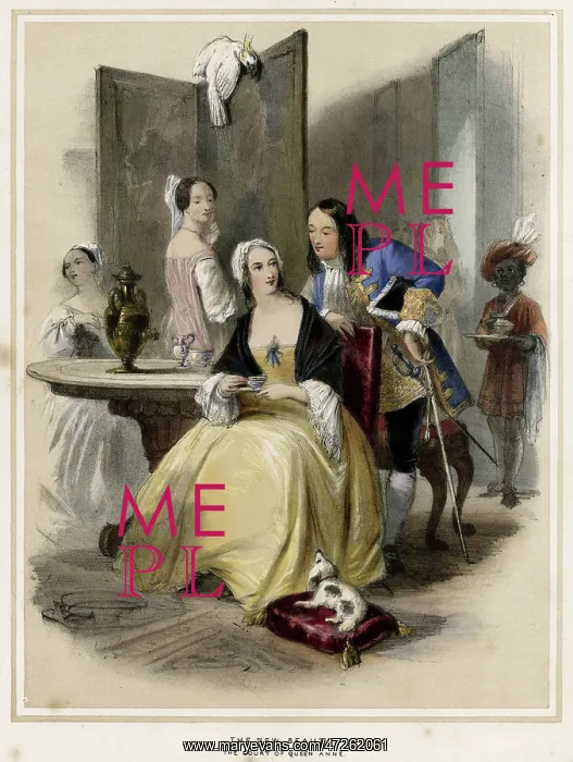  : QUEEN ANNE / ACKERMANN