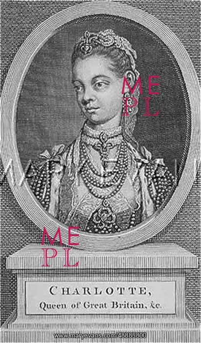 : QUEEN CHARLOTTE : QUEEN CHARLOTTE
