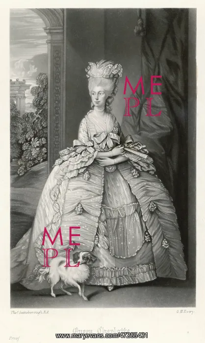: QUEEN CHARLOTTE / EVERY : QUEEN CHARLOTTE / EVERY