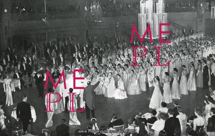 : Queen Charlotte's Ball 1939 : Queen Charlotte's Ball 1939