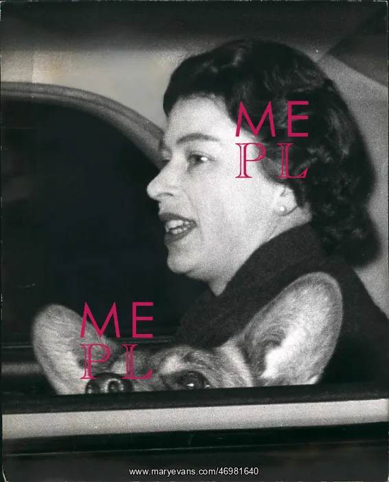: Queen Elizabeth II and corgi in a car : Queen Elizabeth II and corgi in a car