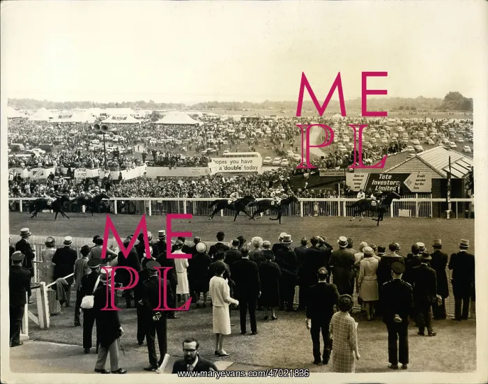 : Queen Elizabeth II at Epsom Derby : Queen Elizabeth II at Epsom Derby