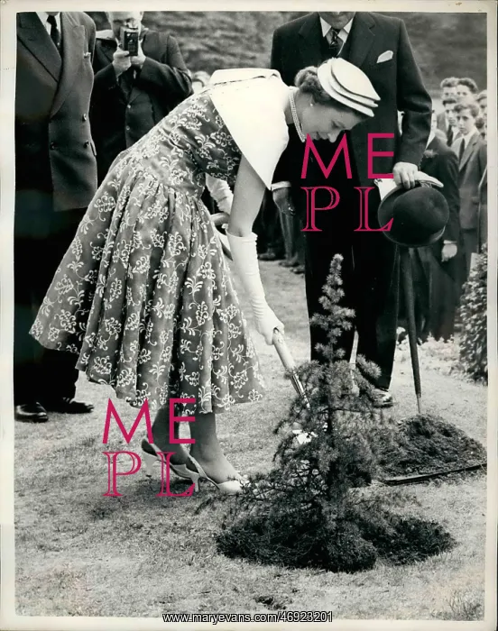 : Queen Elizabeth II planting a tree, Mill Hill School, London : Queen Elizabeth II planting a tree, Mill Hill School, London