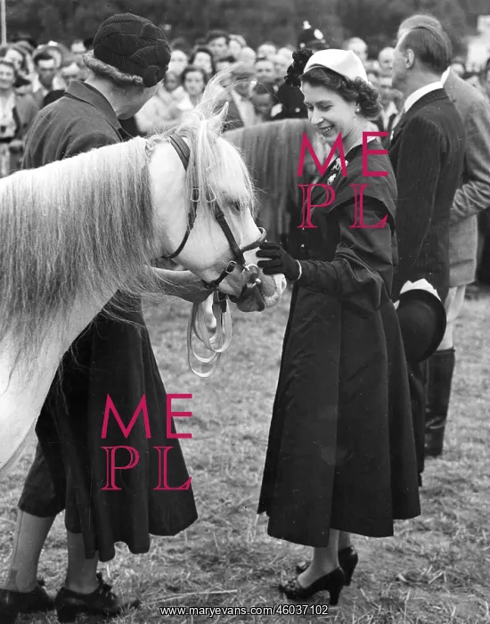 : Queen Elizabeth II and pony : Queen Elizabeth II and pony