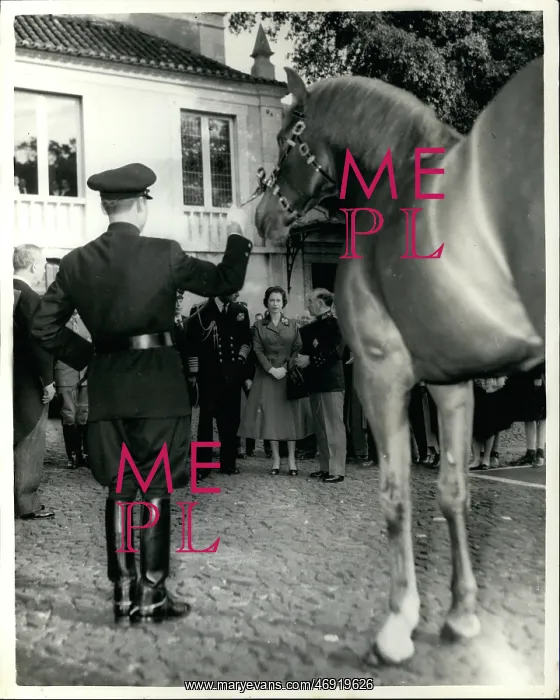 : Queen Elizabeth II state visit to Lisbon, Portugal - horse : Queen Elizabeth II state visit to Lisbon, Portugal - horse