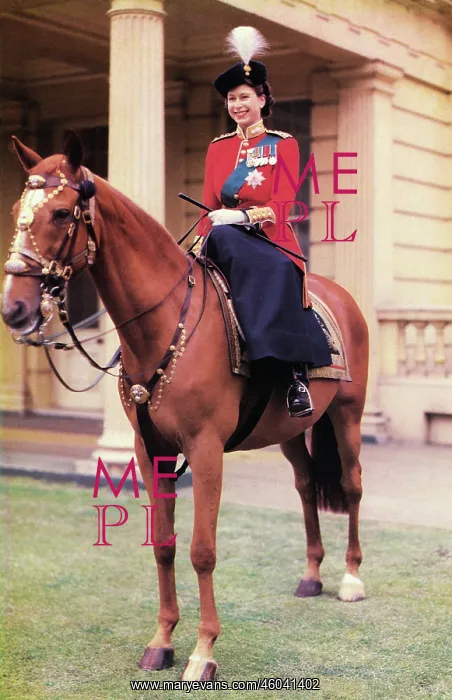 : Queen Elizabeth II in uniform of Grenadier Guards : Queen Elizabeth II in uniform of Grenadier Guards
