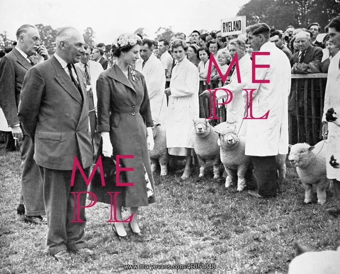 : The Queen inspects prizewinning sheep : The Queen inspects prizewinning sheep