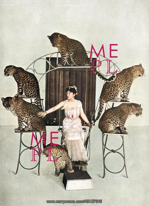 : The Queen of the Jaguars and her Trained Troupe : The Queen of the Jaguars and her Trained Troupe