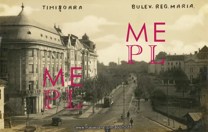 : Queen Maria Boulevard - Timisoara - Romania : Queen Maria Boulevard - Timisoara - Romania