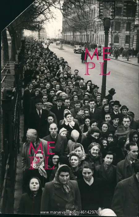 : Queen Mary, lying-in-state, Westminster Hall, long queue : Queen Mary, lying-in-state, Westminster Hall, long queue
