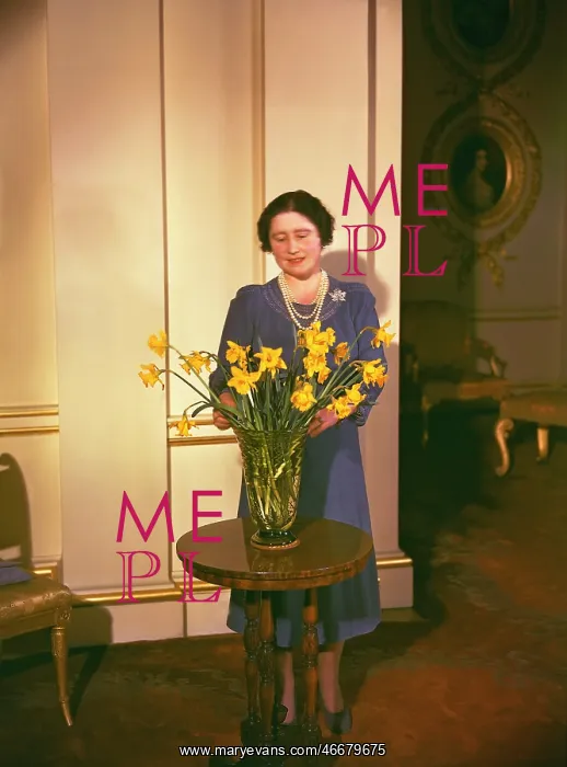 : Queen Mother arranging daffodils : Queen Mother arranging daffodils