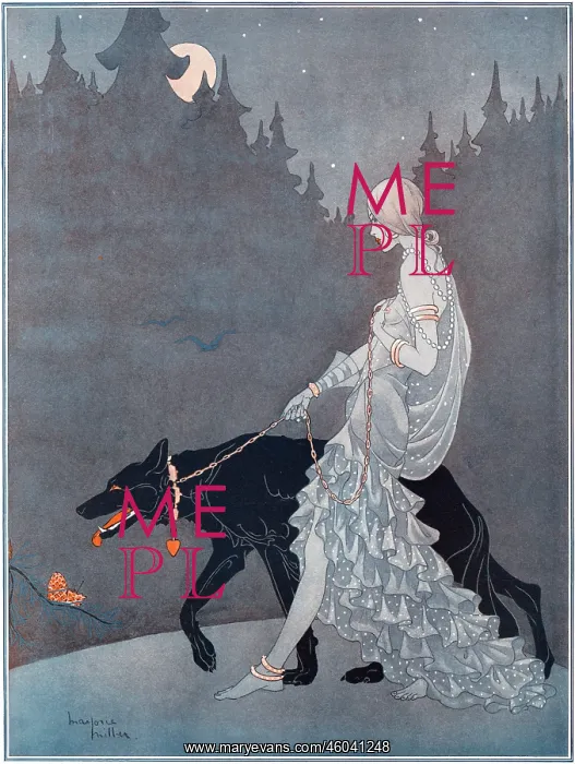 : Queen of the Night by Marjorie Miller : Queen of the Night by Marjorie Miller