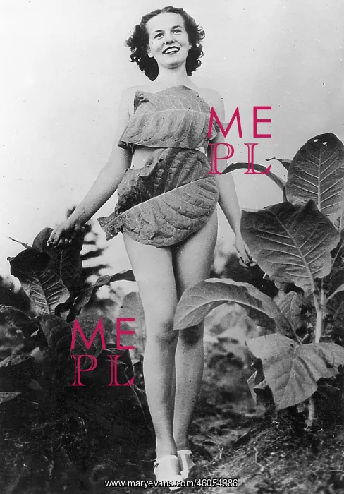 : Queen of tobacco : Queen of tobacco