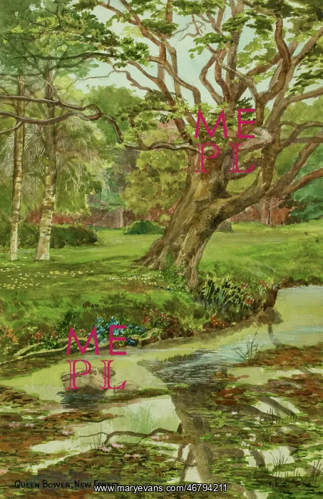: Queen's Bower, New Forest, Hampshire : Queen's Bower, New Forest, Hampshire