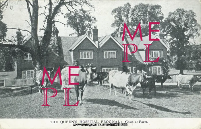 : The Queen's Hospital, Frognal : The Queen's Hospital, Frognal