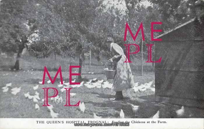 : The Queen's Hospital, Frognal : The Queen's Hospital, Frognal