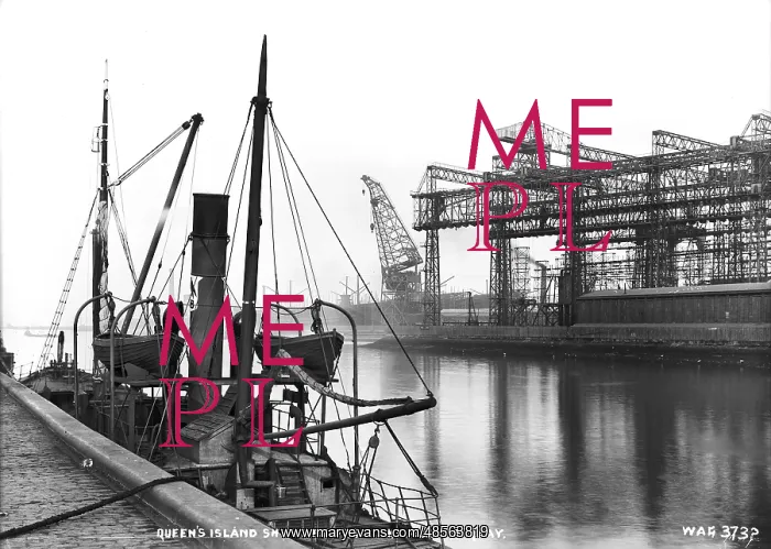 : Queen's Island Shipyard from the Albert Quay : Queen's Island Shipyard from the Albert Quay