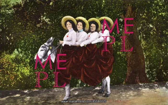  : Four Queens on a Jack - Four Women riding a donkey