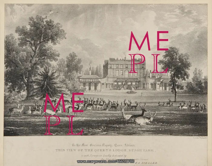 : The Queen's Lodge, Bushy Park : The Queen's Lodge, Bushy Park