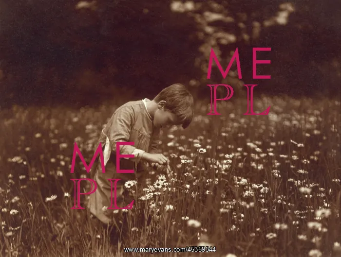 : Quentin Roosevelt catching June bugs in a field : Quentin Roosevelt catching June bugs in a field