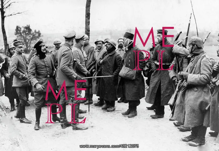 : Questioning at the Western Front, 1916 : Questioning at the Western Front, 1916
