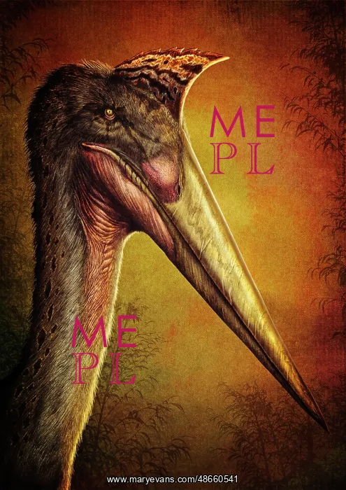 : Quetzalcoatlus portrait : Quetzalcoatlus portrait