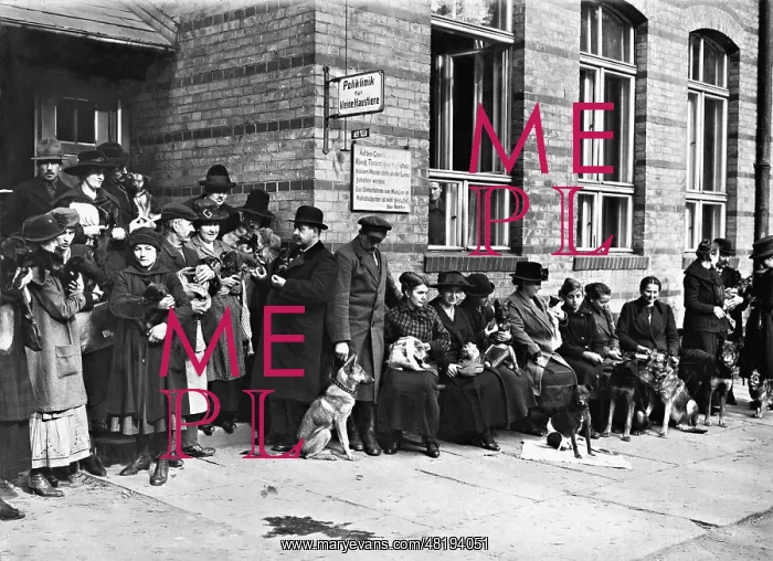 : Queue in front of an animal hospital, 1920 : Queue in front of an animal hospital, 1920